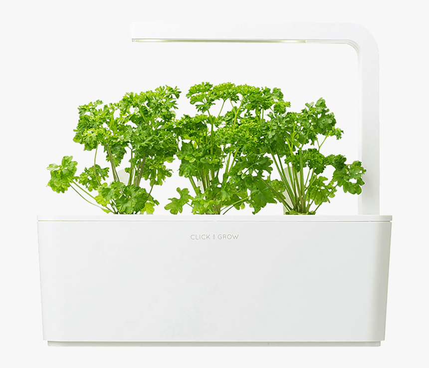 Click And Grow Smart Garden Png, Transparent Png