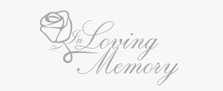 Hollywood Casino Amphitheatre, HD Png Download