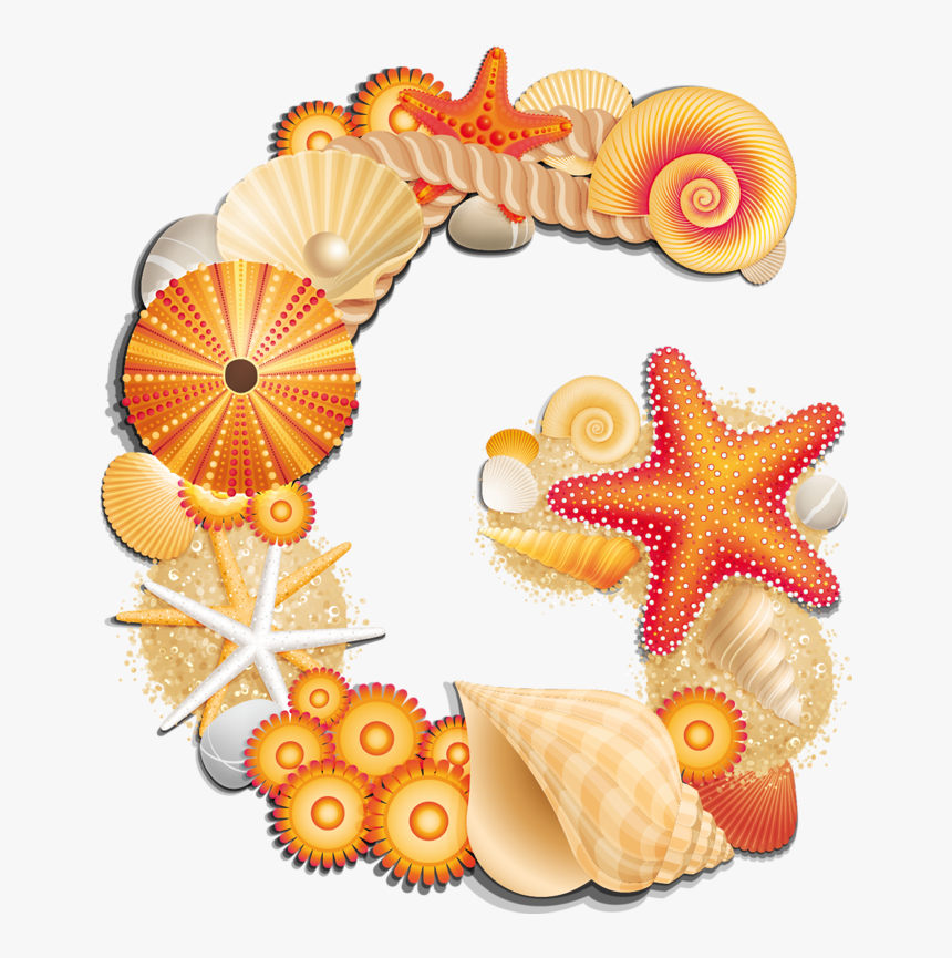 Letter G Abc By The Sheshore Pinterest Ⓒ - Seashell Clipart, HD Png Download