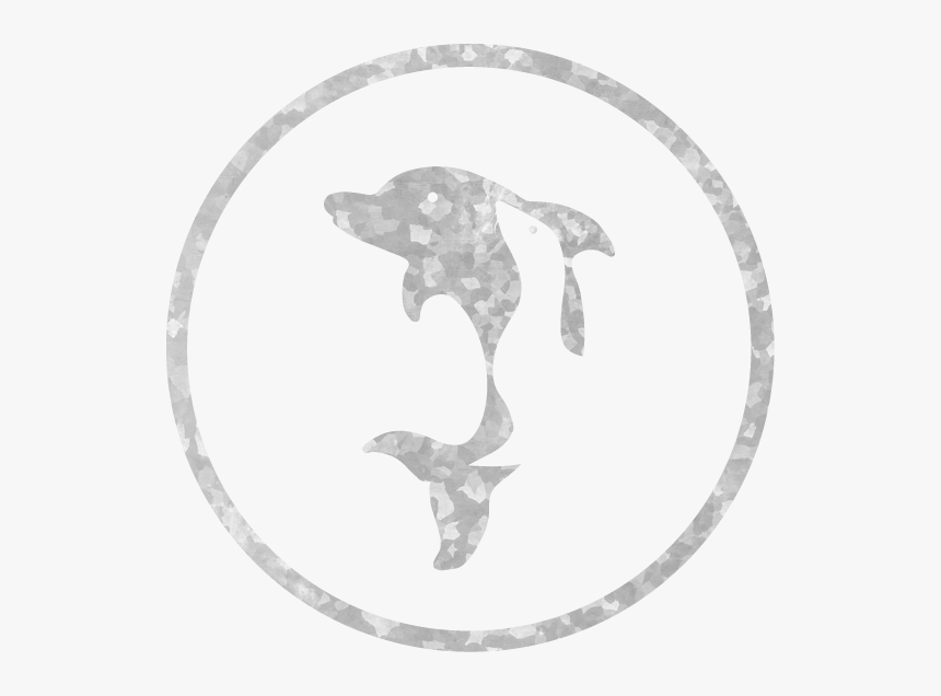 Transparent Sea Lion Png - Best Dolphin Logo Png, Png Download