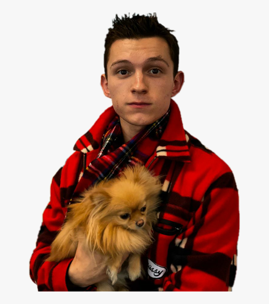 Tom Holland And Dog , Png Download - Tom Holland And A Dog, Transparent Png