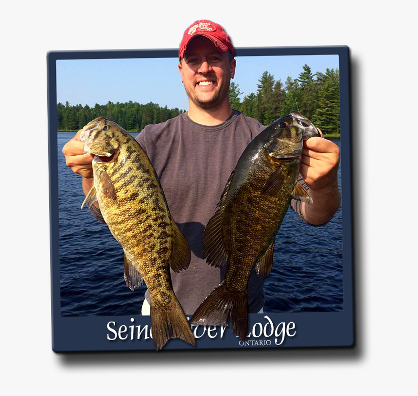 Pull Fish Out Of Water, HD Png Download