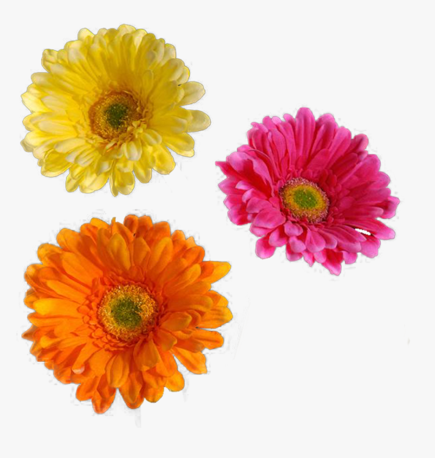 Transparent Real Flowers Png - Flower Cut Out Png, Png Download