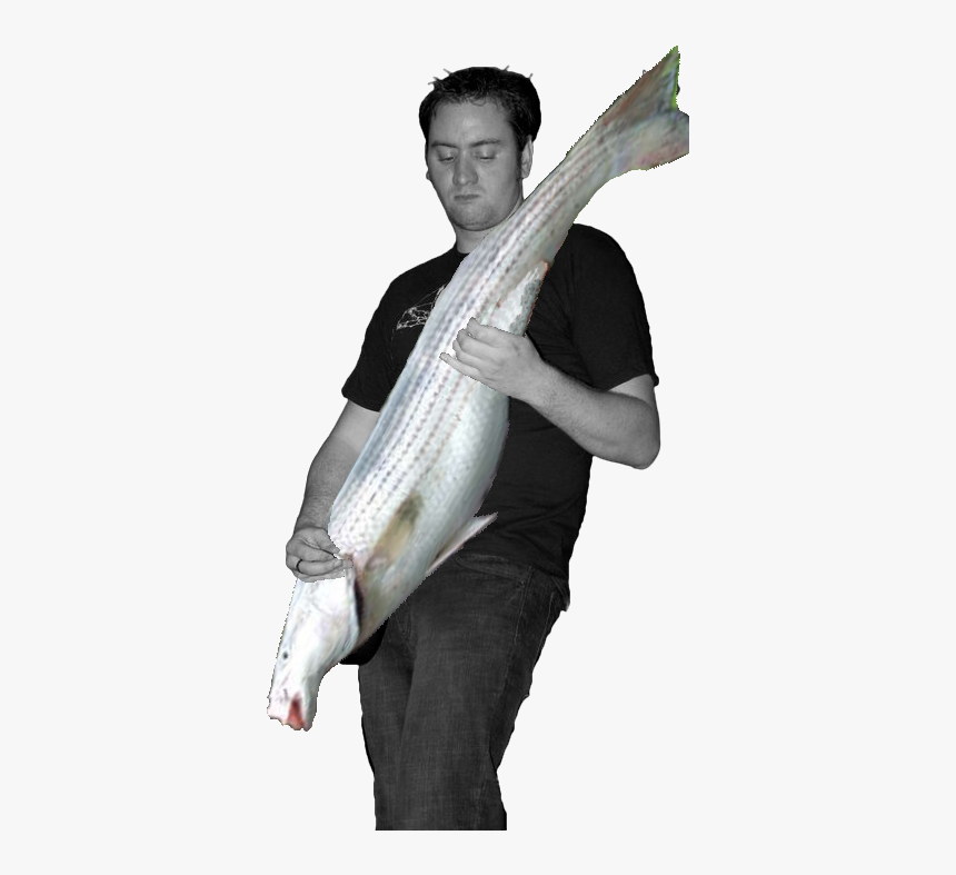 File - Bass-player - Bass Player Png, Transparent Png