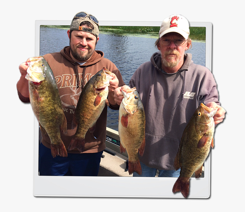 Lake Nipissing Bass Fishing, HD Png Download