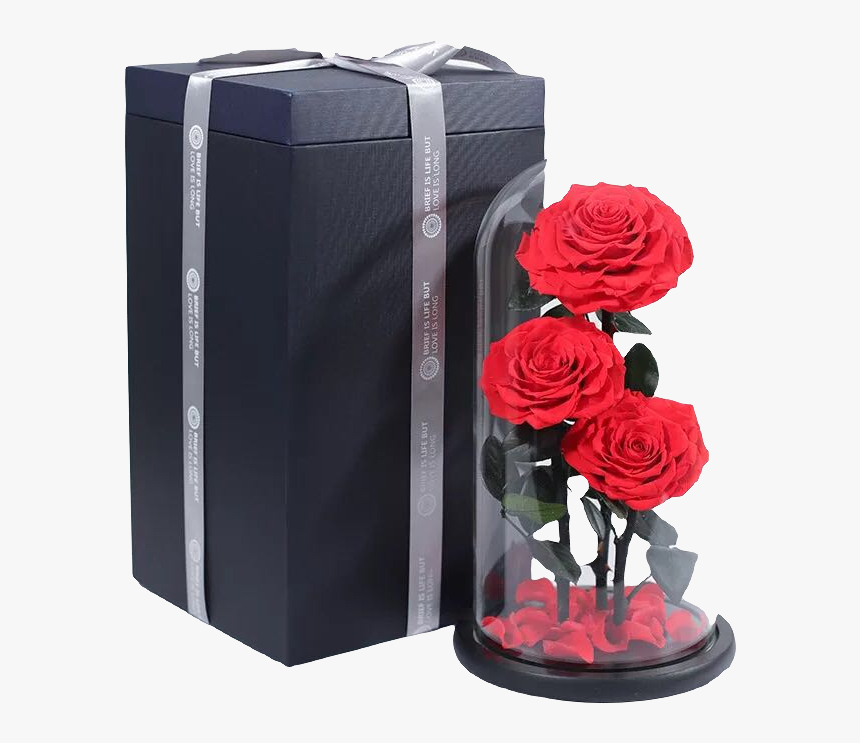 Wholesale Wedding Decoration Preserved Real Roses Flower - Garden Roses, HD Png Download