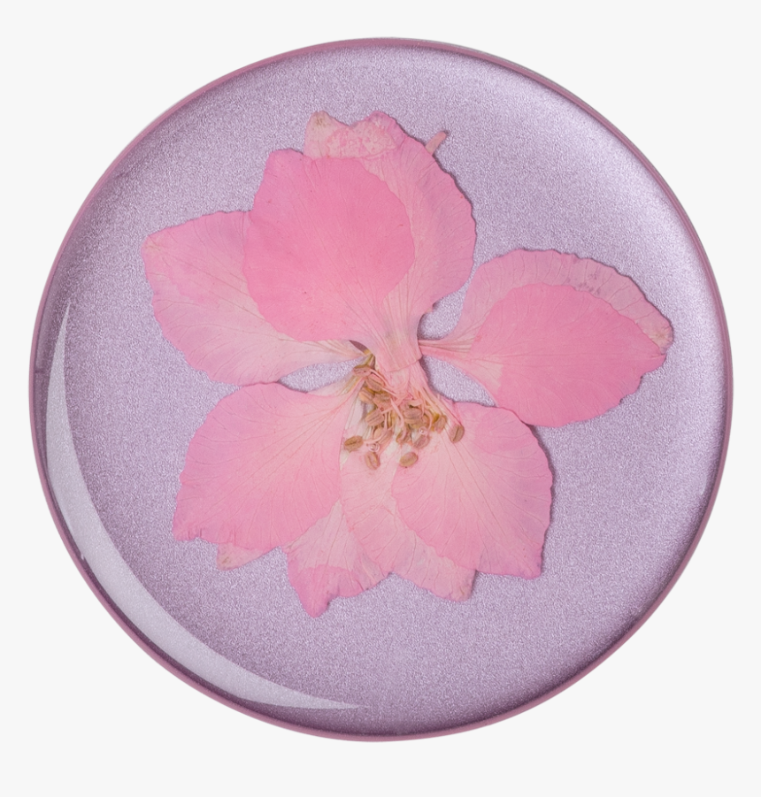 Popsocket Pressed Flower Delphinium Pink, HD Png Download