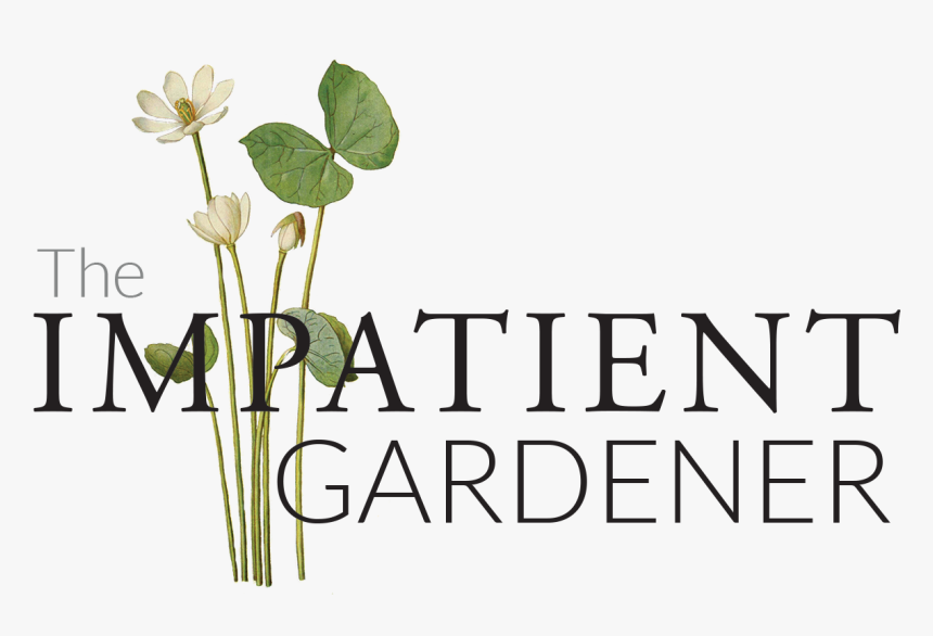 The Impatient Gardener - Floral Design, HD Png Download