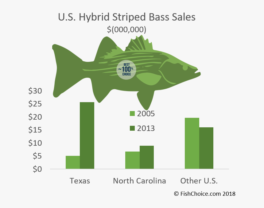 Fish, HD Png Download