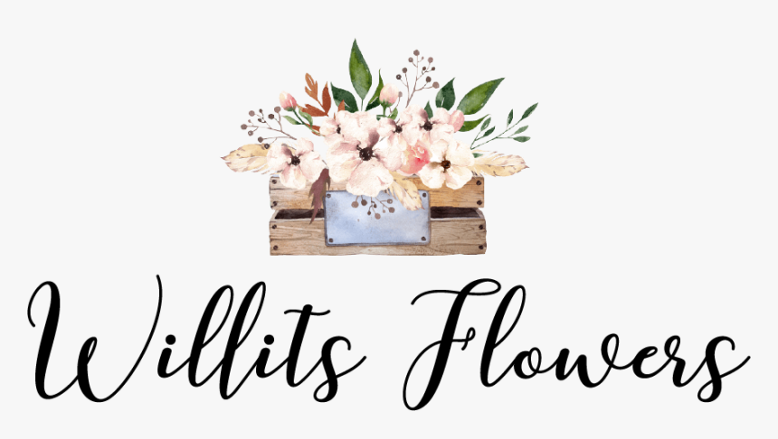Willits, Ca Florist - Flower In Box Watercolor Png, Transparent Png