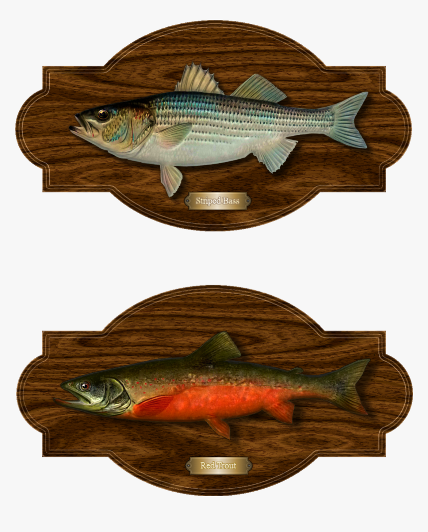 Portable Network Graphics, HD Png Download