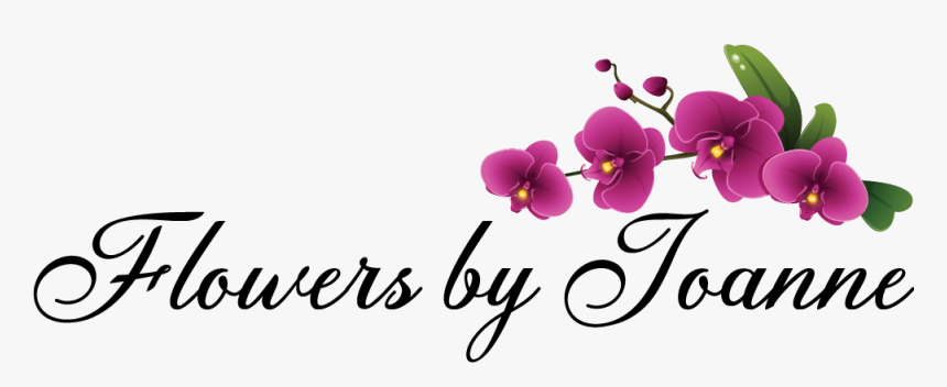 Flowers By Joanne - Moth Orchid, HD Png Download