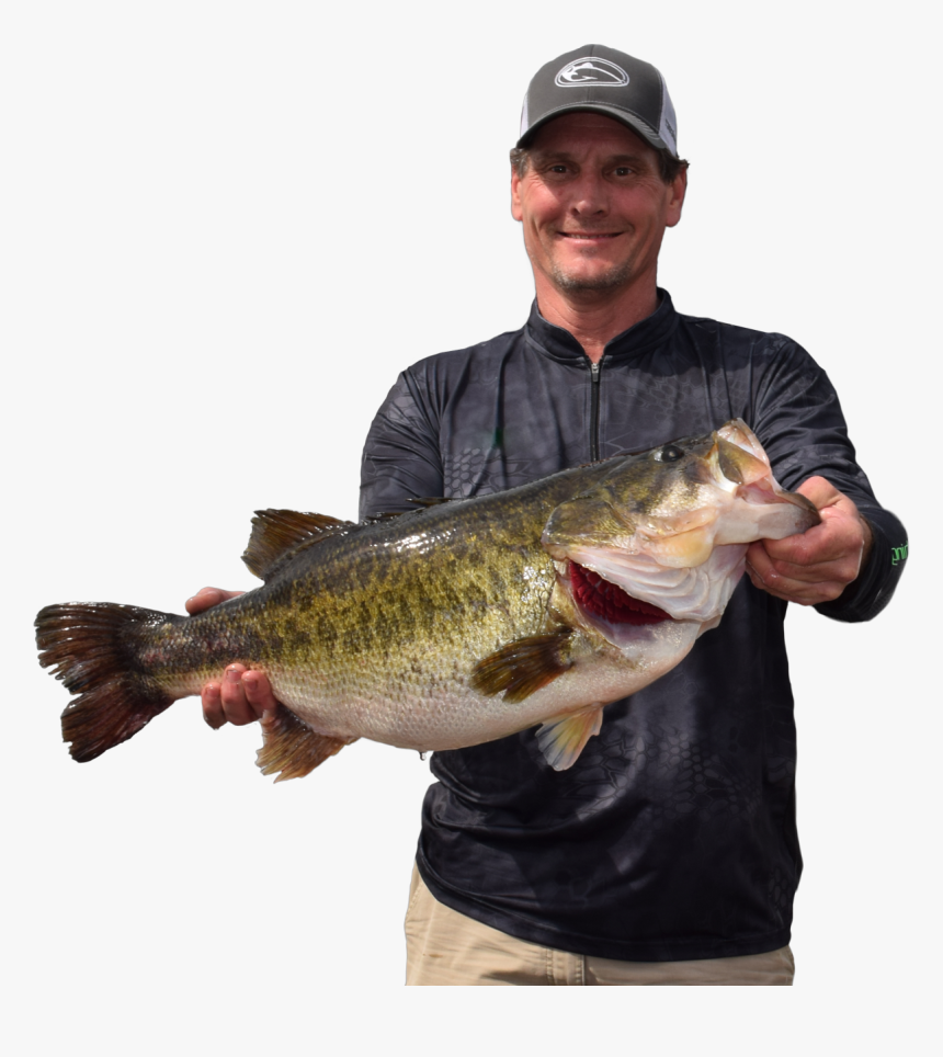 Sharelunker Bass, HD Png Download