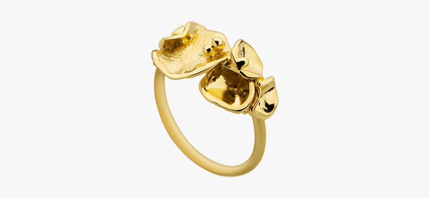 Engagement Ring, HD Png Download