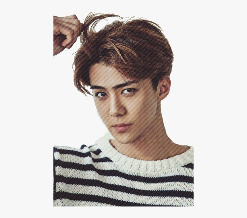 Transparent Baekhyun Png - Exo K Sehun 2015, Png Download