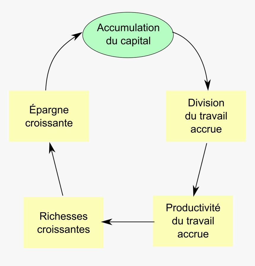 Transparent Adam Smith Png - Division Del Trabajo Adam Smith, Png Download
