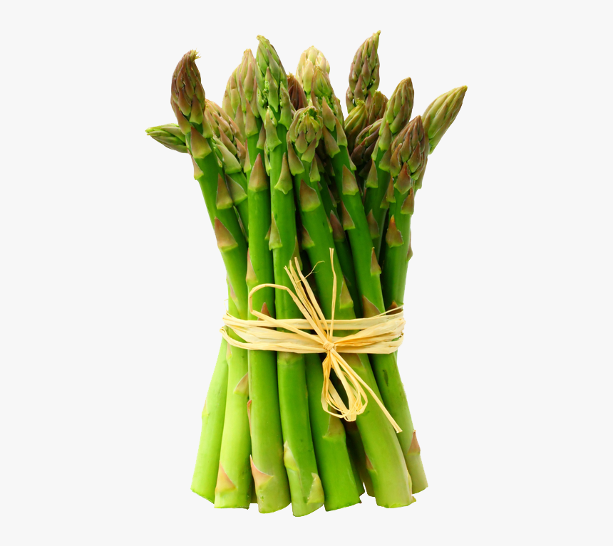Download Asparagus Transparent Background - Asparagus In Tamil Nadu, HD Png Download