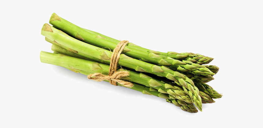 Asparagus Png File - Asparagus Png, Transparent Png