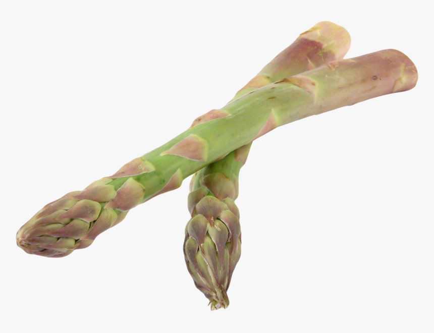 Asparagus Png Image - Asparagus, Transparent Png