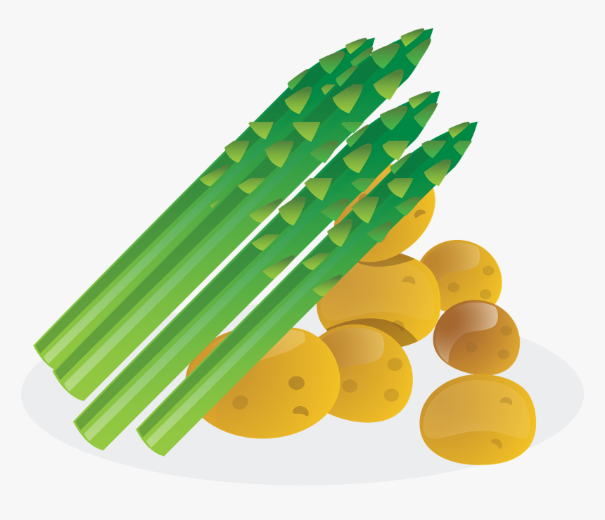 Transparent Png Asparagus Clipart, Png Download