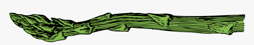 Asparagus Spears Png, Transparent Png