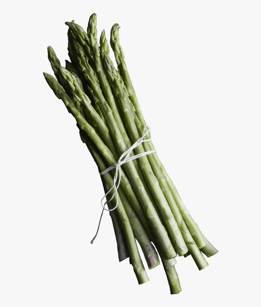 Welsh Onion, HD Png Download