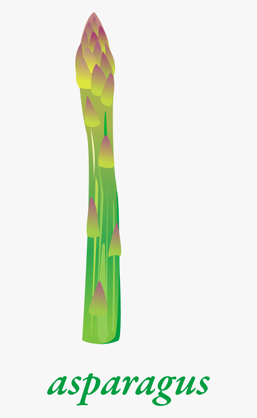 Vase, HD Png Download