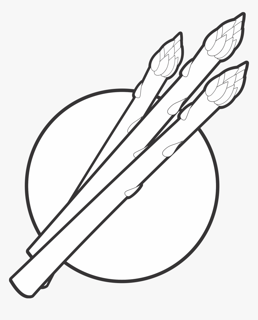Line Art,plant,angle - Black And White Asparagus, HD Png Download