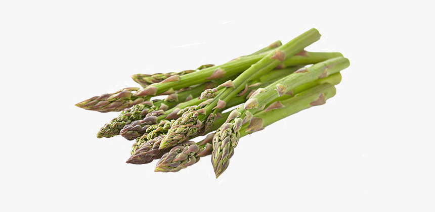 Garden Asparagus, HD Png Download