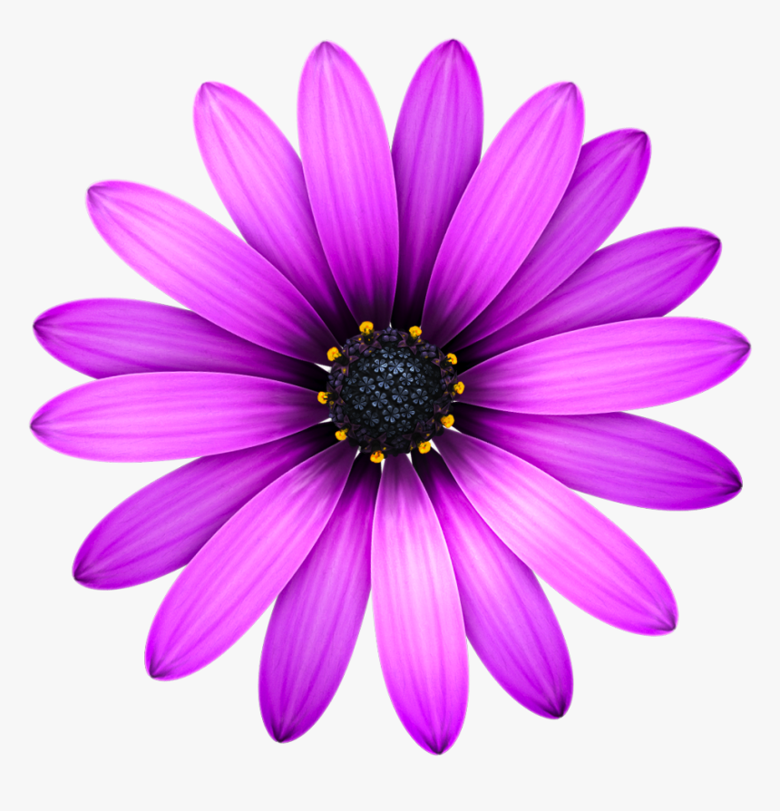 Description Textmateicon Png - Textmate Icon, Transparent Png