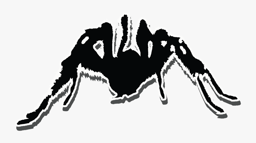 Tarantula, HD Png Download