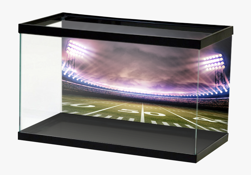 Fish Tank Hockey, HD Png Download , Transparent Png Image PNGitem