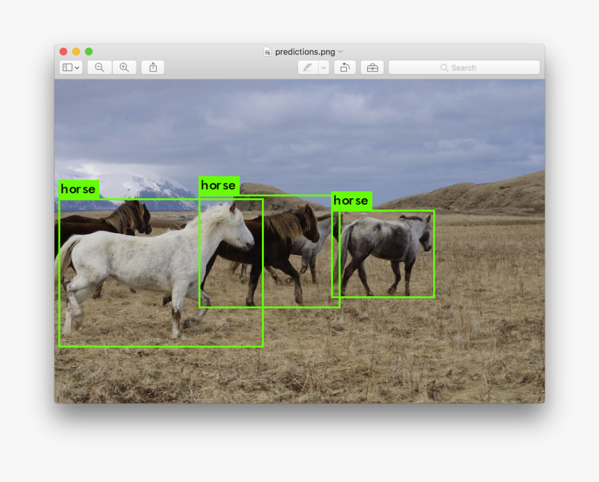 Animal Detection Using Yolo, HD Png Download