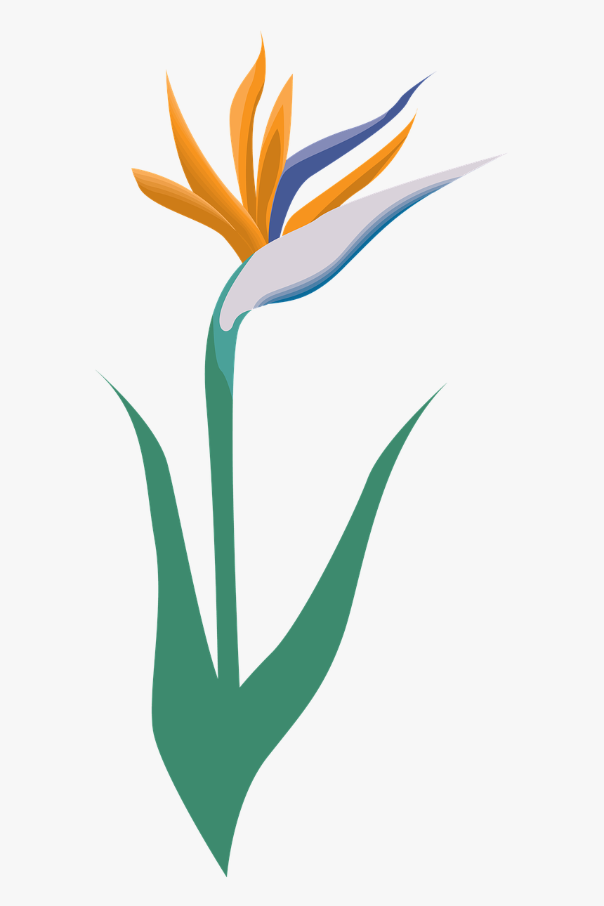 Garden, Flower, Icon, Symbol, Blossom, Logo - Vectorial Y Mapa De Bits, HD Png Download