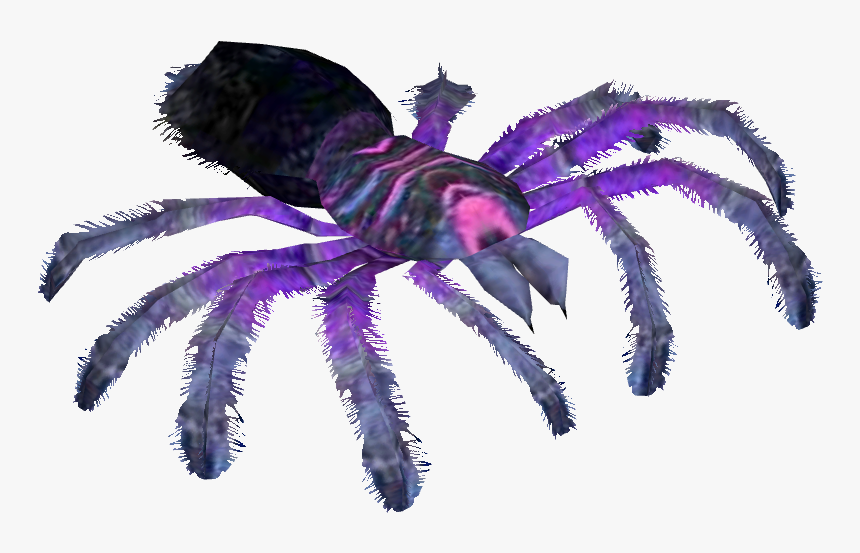 Transparent Cobalt Blue Tarantula, HD Png Download