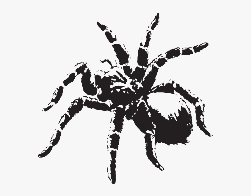 Spider Clipart Tarantula - Scary Spider Png, Transparent Png