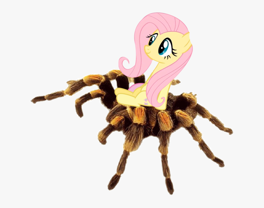 Insects, HD Png Download