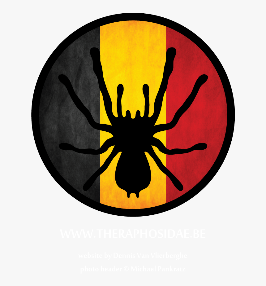 Theraphosidae - Theraphosidae Be Logo, HD Png Download