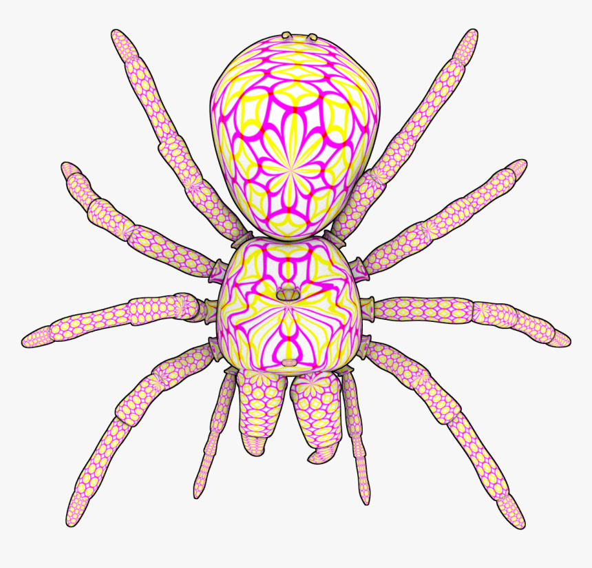 Insect , Png Download - Wolf Spider, Transparent Png