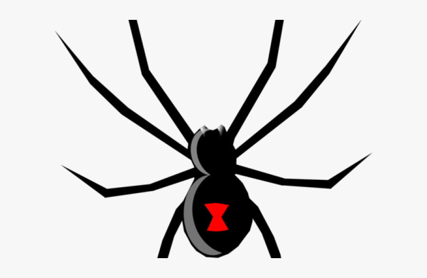 Tarantula Clipart Clip Art - Black Widow Spider Svg, HD Png Download