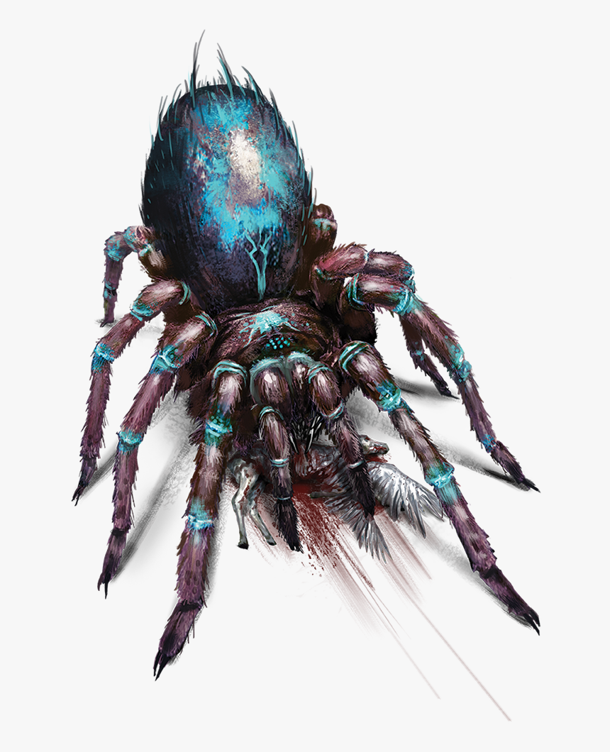 Araneus Cavaticus, HD Png Download