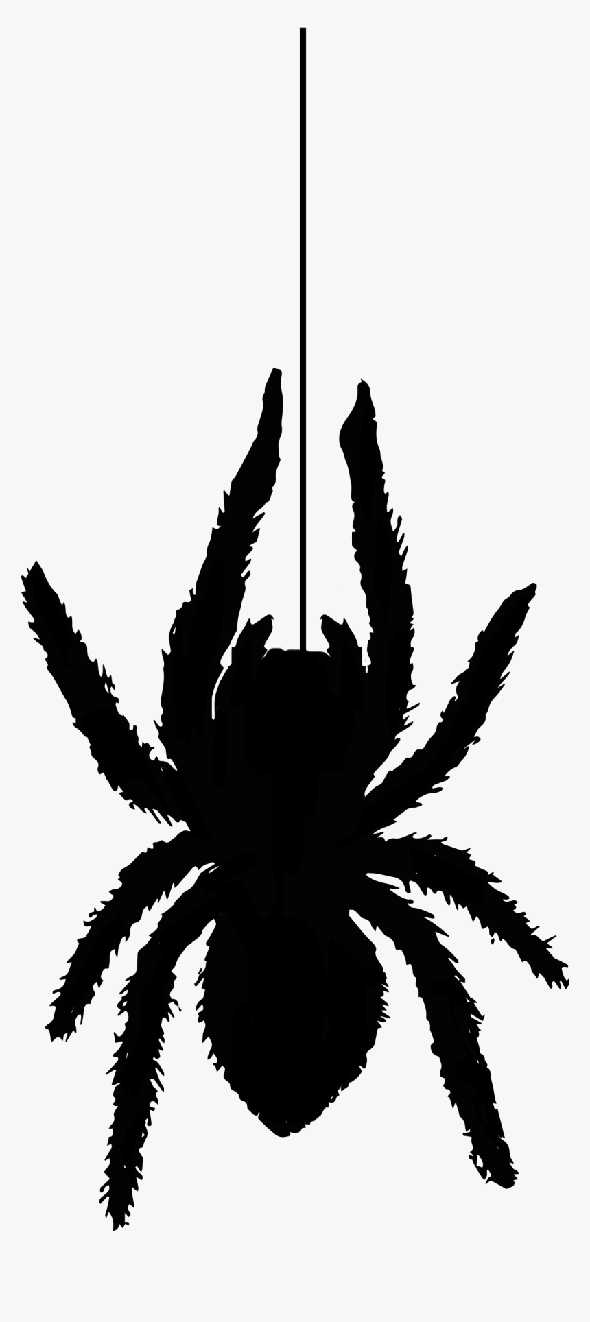 Spider Silhouette1353 Free Vintage Clip Art - Silhouette Spider Black Clipart, HD Png Download