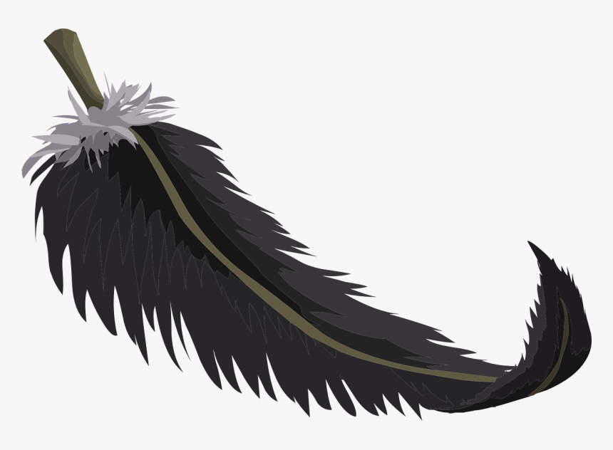 Feather Public Domain Png, Transparent Png