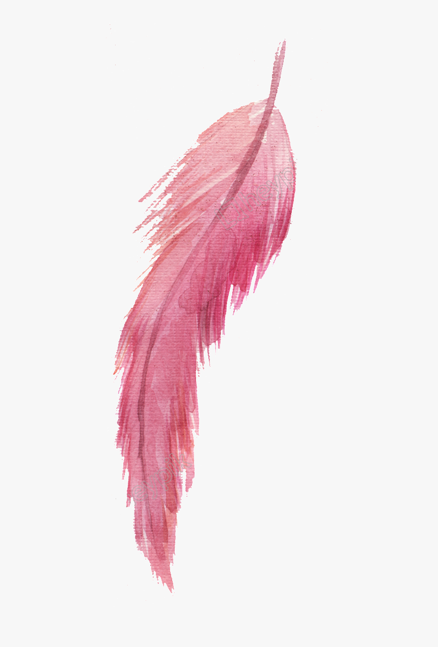 Transparent Black Feather Png - Pink Feather Png, Png Download