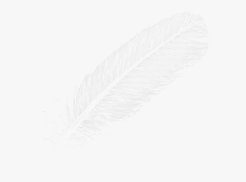 Large Transparent Png Digiscrap - Clear Background White Feather Png, Png Download