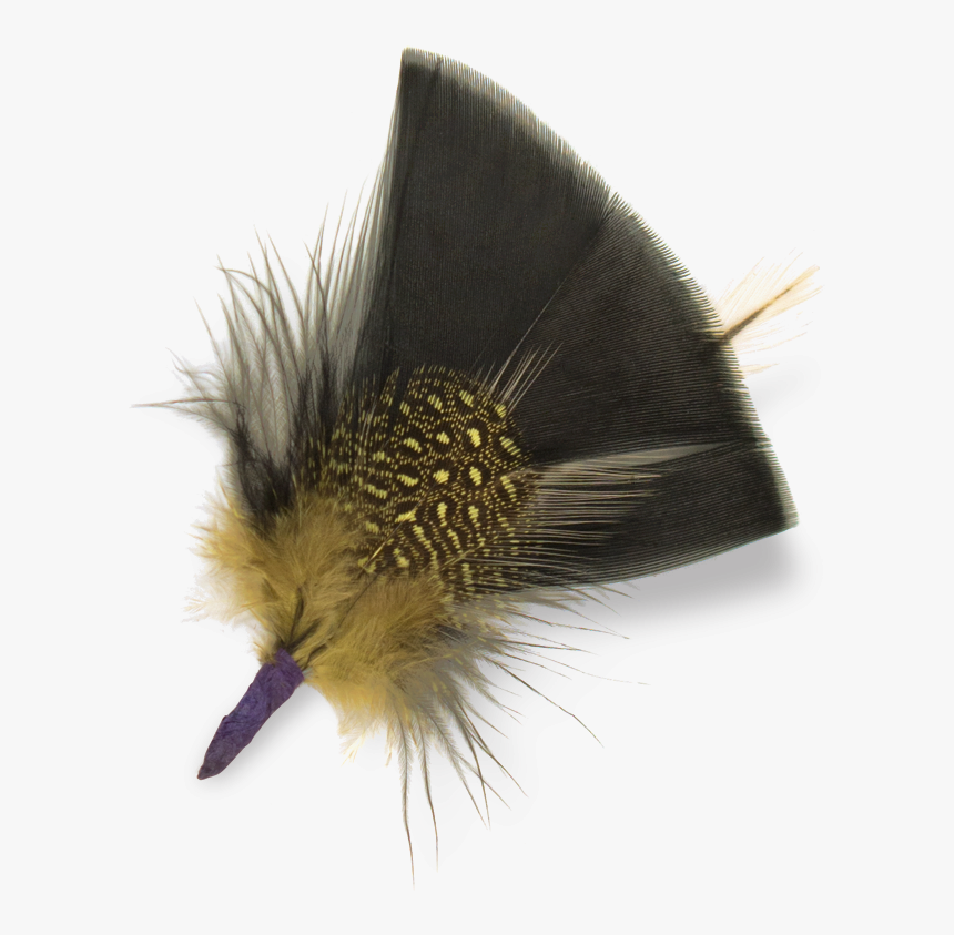 Transparent Black Feather Png - Dandelion, Png Download