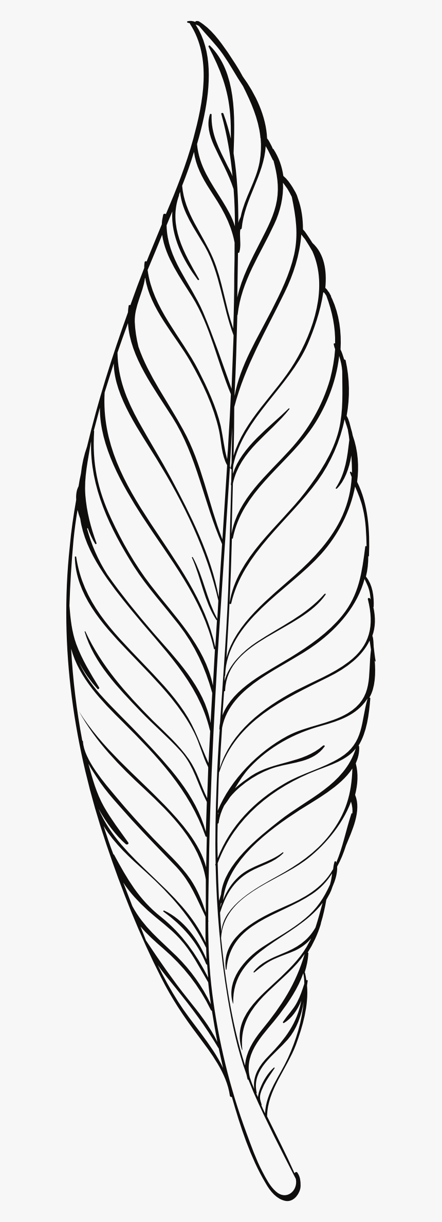Feather Line Art Clip Arts - Plant Line Art Png, Transparent Png