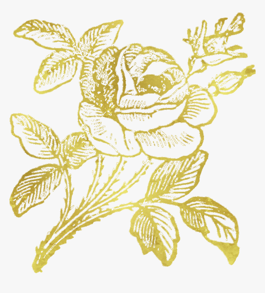 Gold-rose, HD Png Download