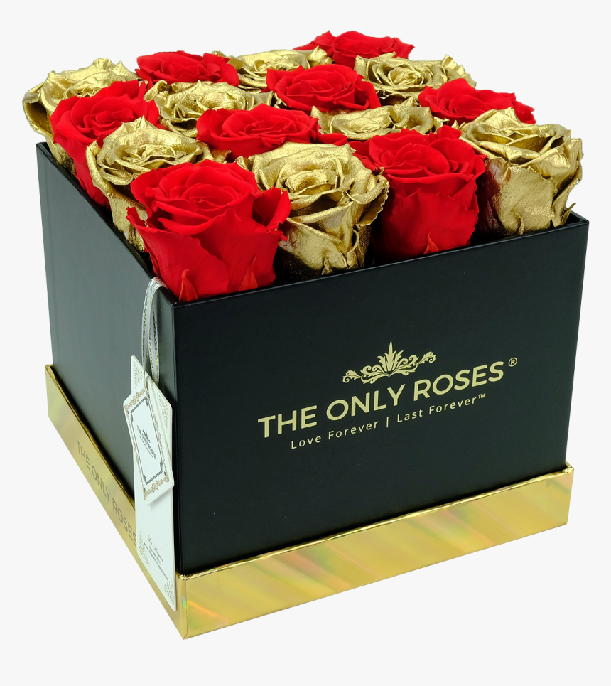 Red And Gold Preserved Roses - Garden Roses, HD Png Download