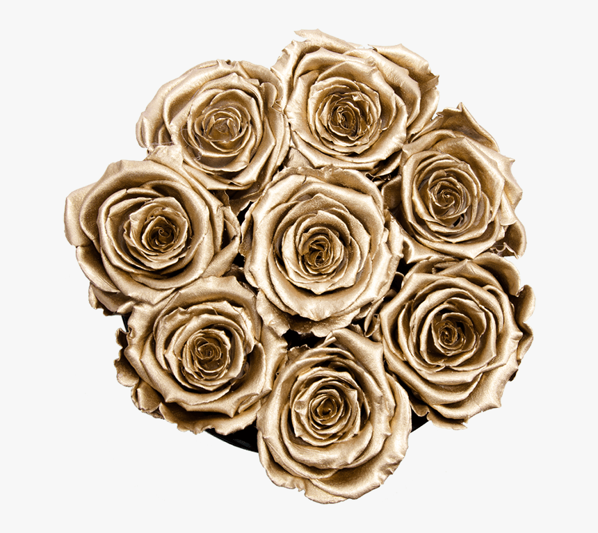 Garden Roses, HD Png Download